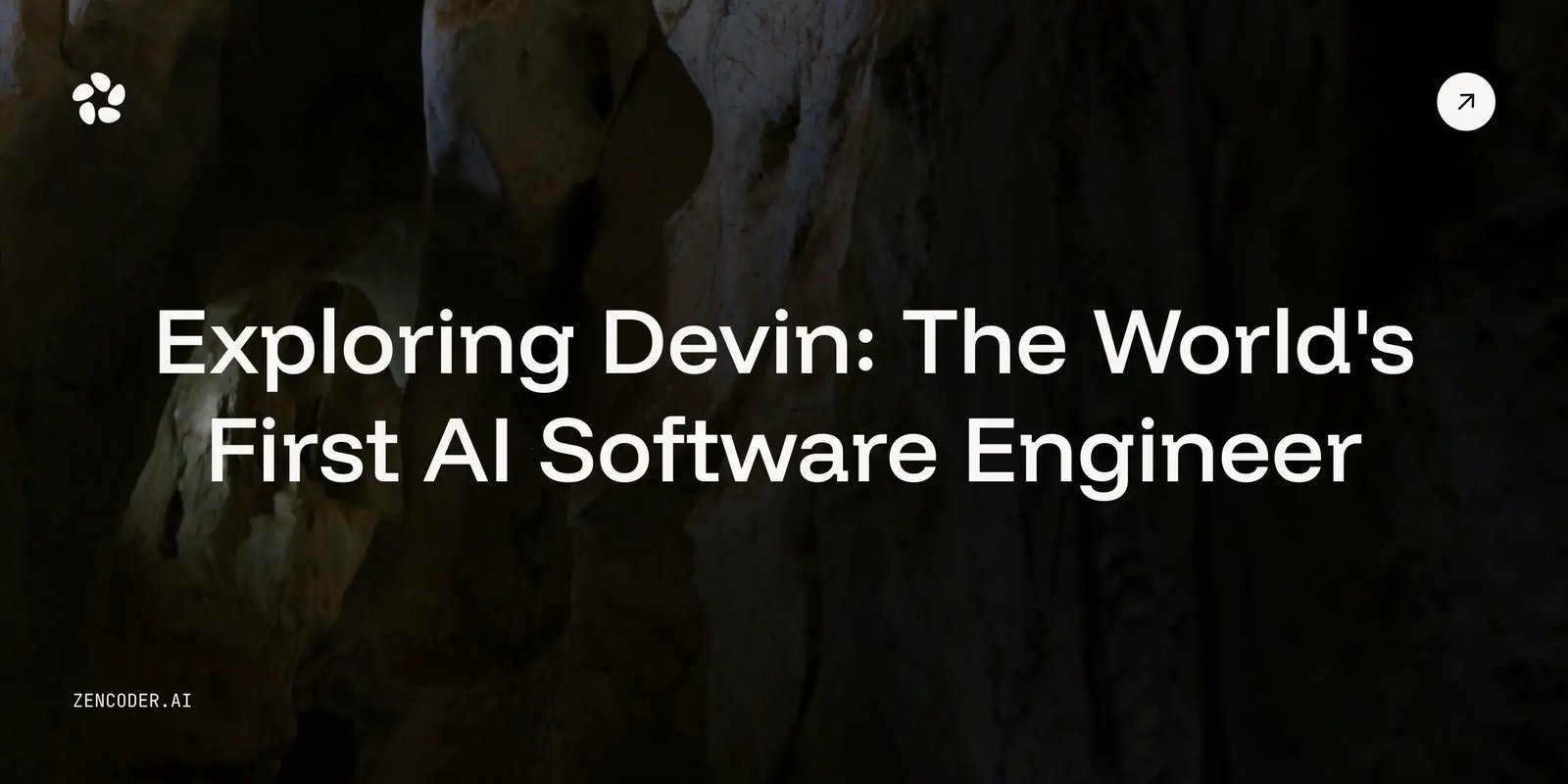 Devin review Cover