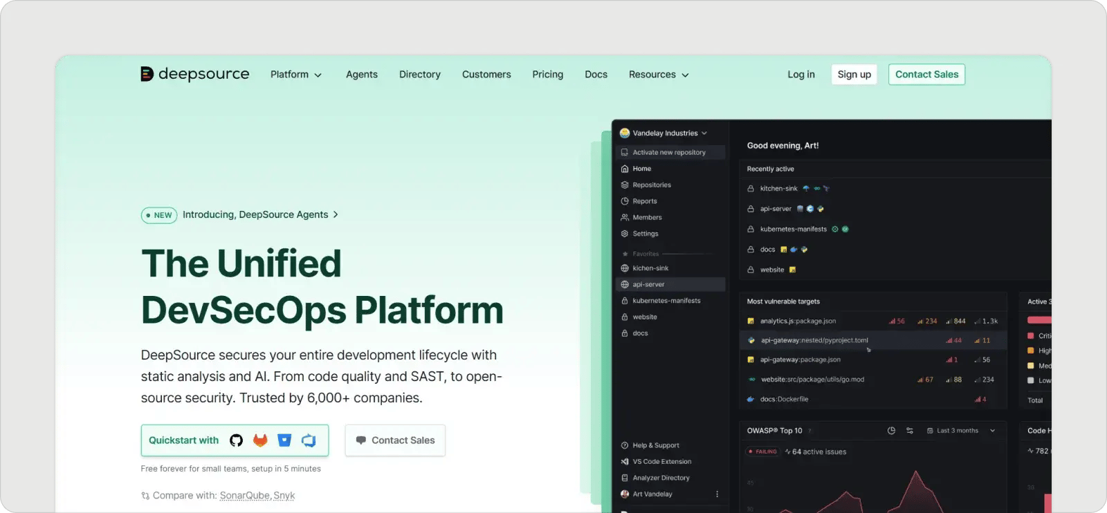 deepsource-homepage