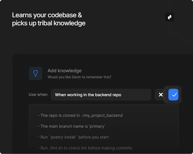 Devin knowledge example
