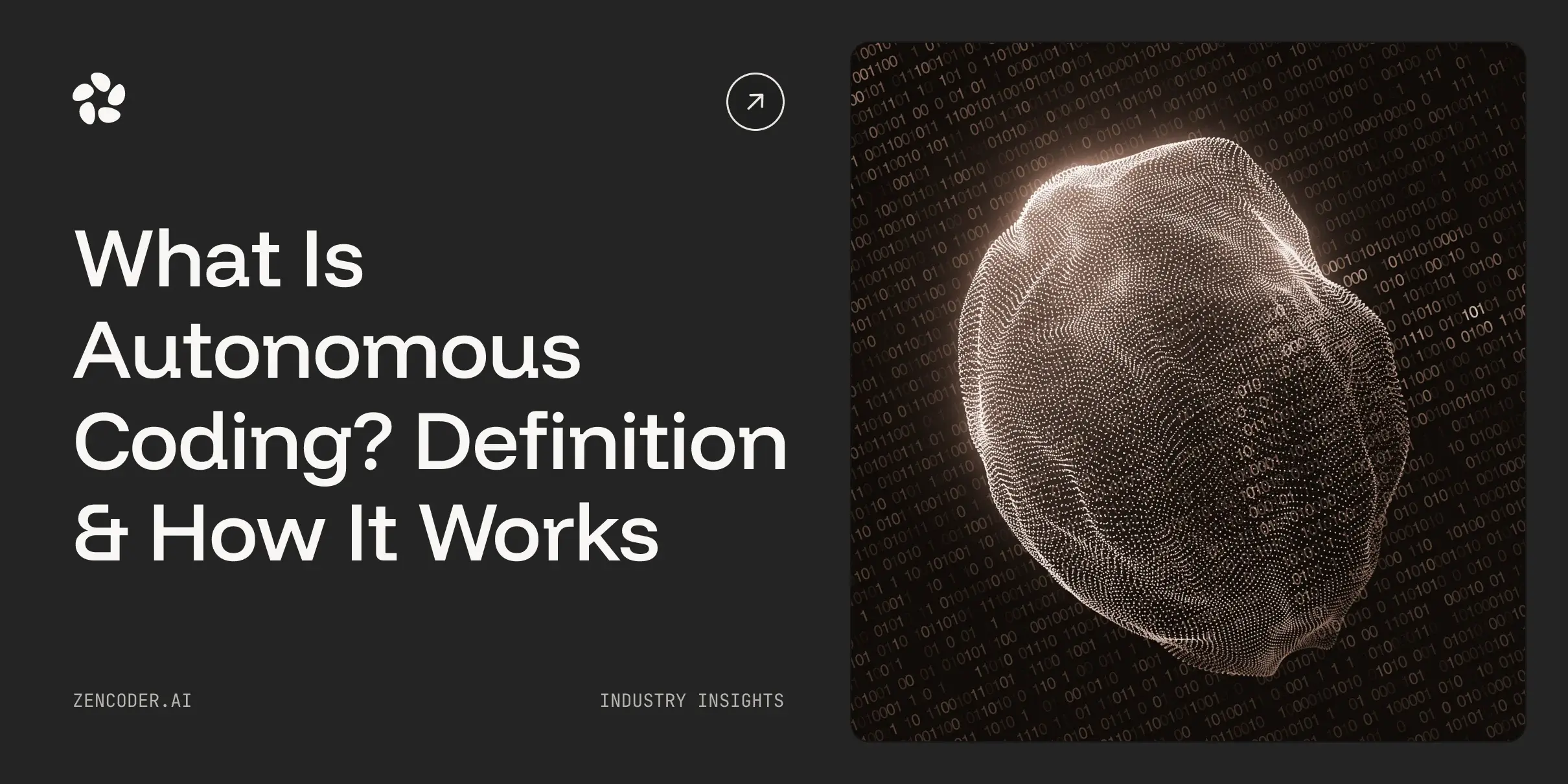 What Is Autonomous Coding? Definition & How It Works