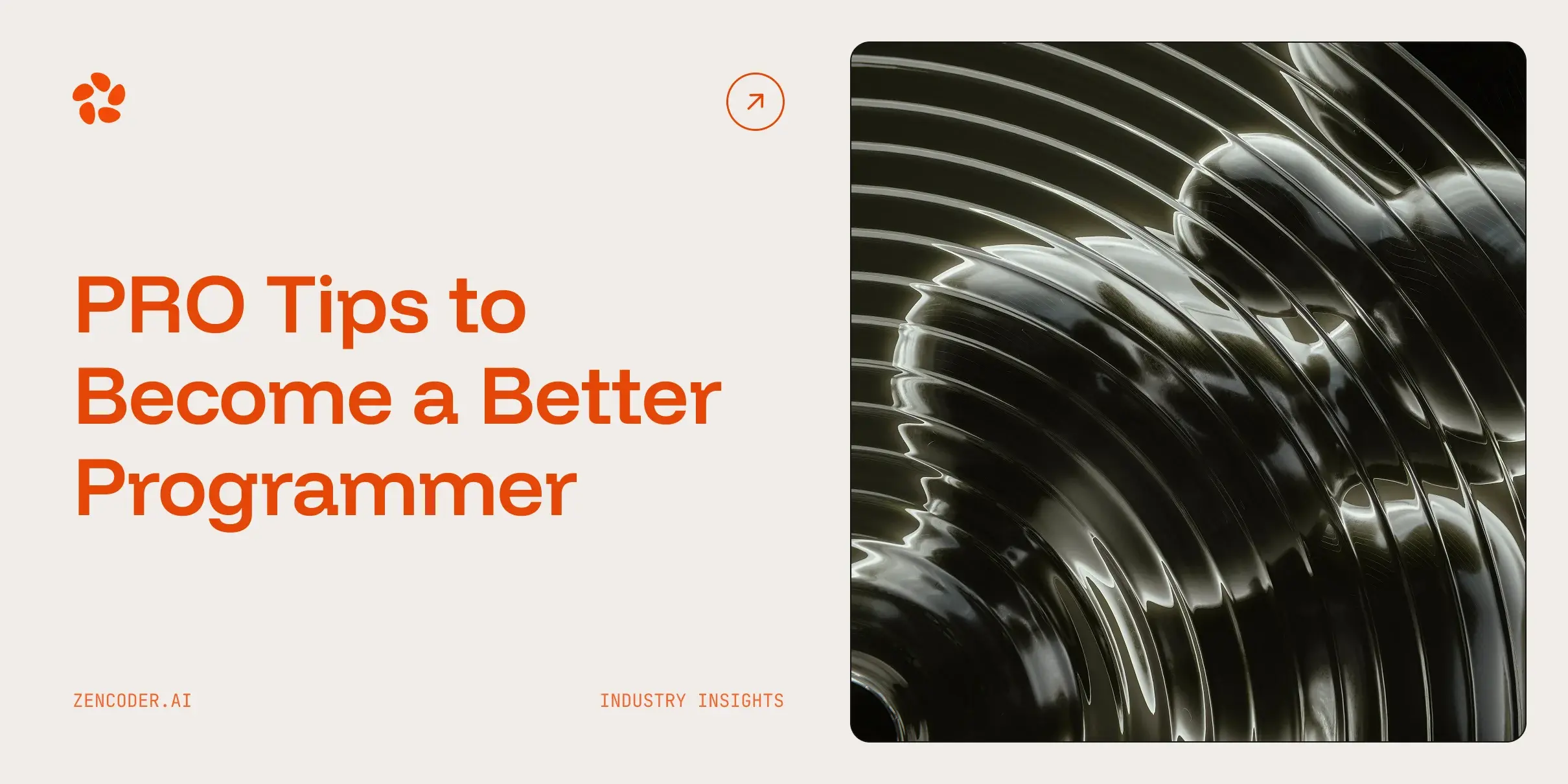 6 PRO Tips to Become a Better Programmer [Practical Guide]