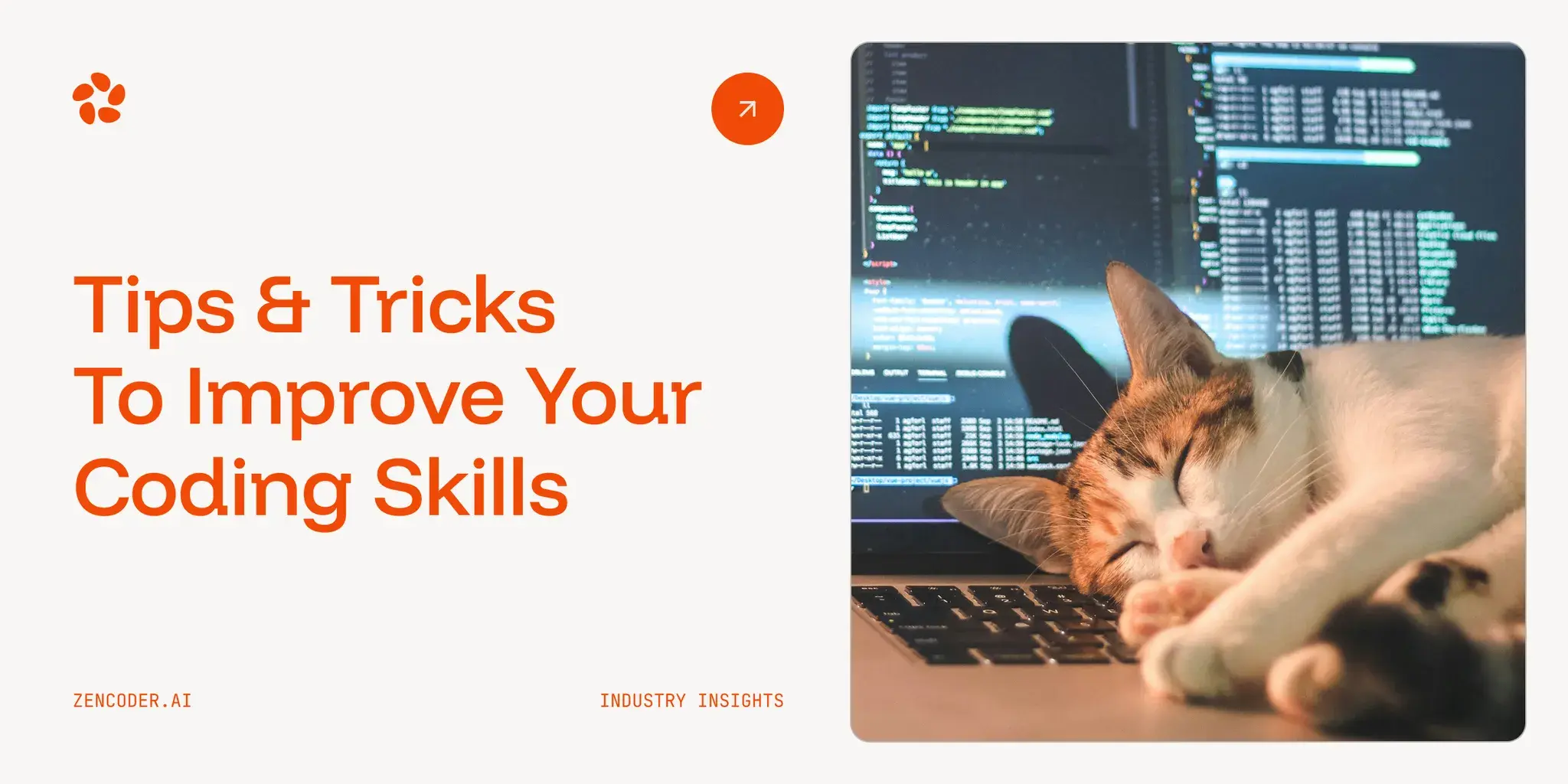 Top 7 Tips & Tricks To Improve Your Coding Skills Today