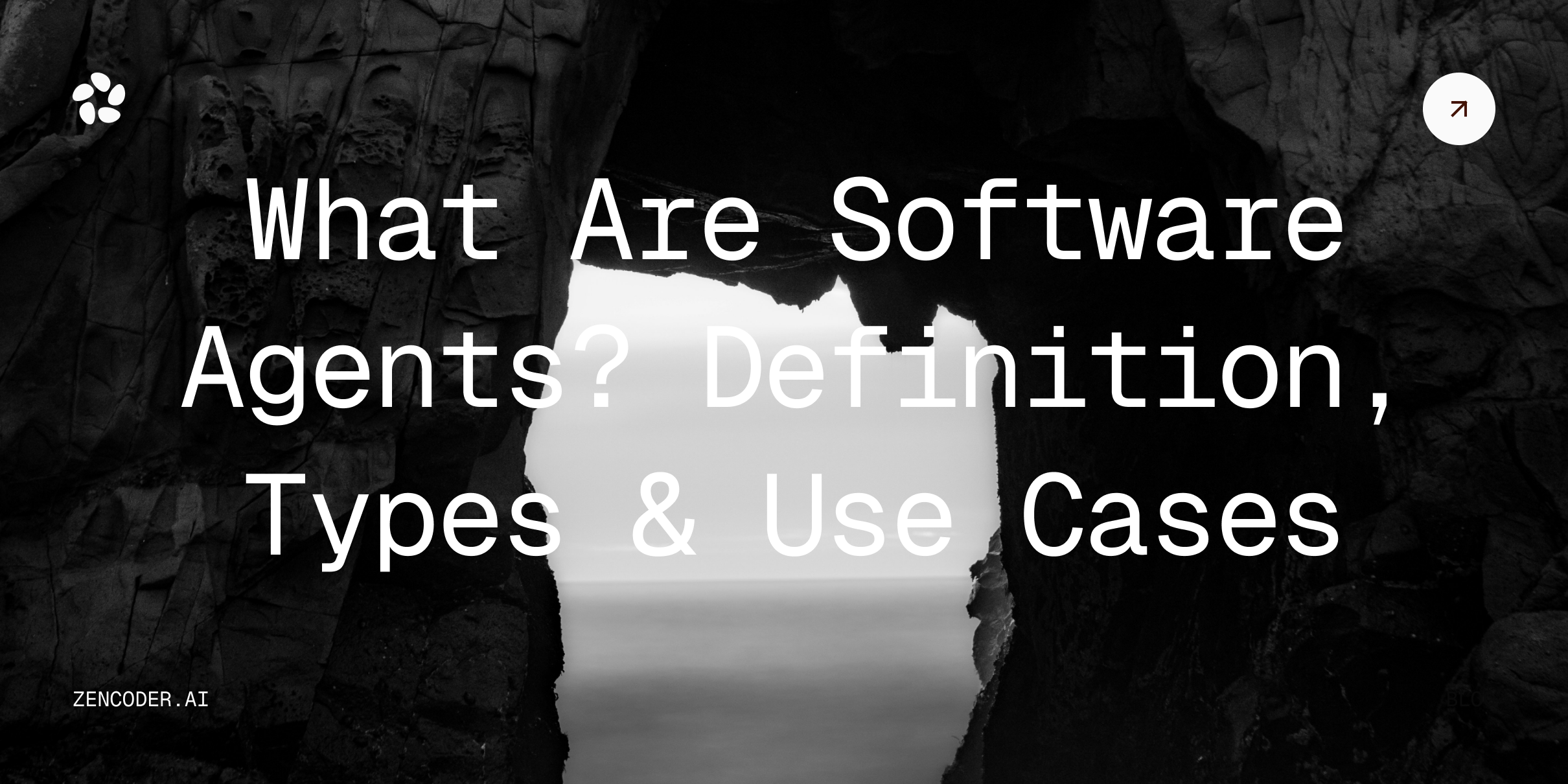 What Are Software Agents? Definition, Types & Use Cases
